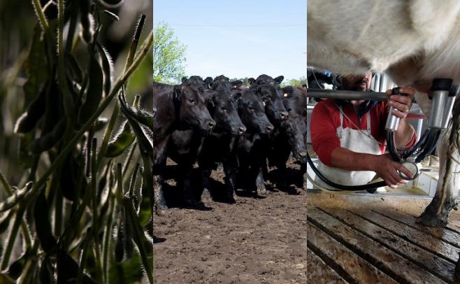 Agro: el endeudamiento se triplicó, y alcanzó los 2.400 millones de dólares